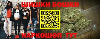 крисы Будённовск