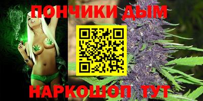 крисы Будённовск