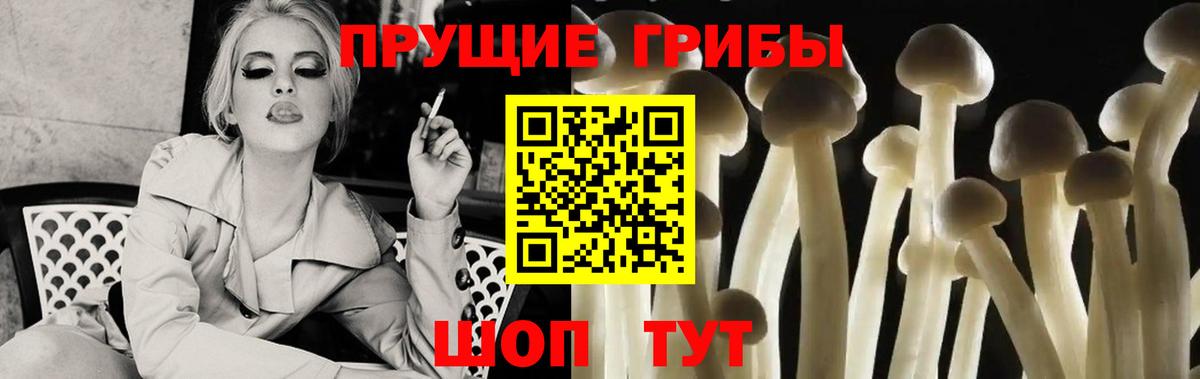 Мелеуз  Галлюциногенные грибы прущие грибы  Галлюциногенные грибы Psilocybine cubensis  где найти наркотики  Вход с VPN 